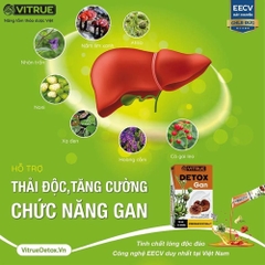 Vitrue Lady Tinh Chất Đông Trùng Hạ Thảo Và Nấm Môn Chùm Tăng Cường Sinh Lý Nữ, Cân Bằng Nội Tiết Tố Hộp 14 Gói