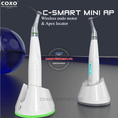 Máy nội nha COXO tích hợp ĐVC C-Smart Mini AP