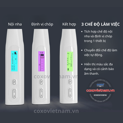 Máy nội nha COXO tích hợp ĐVC C-Smart Mini AP