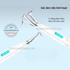 Máy nội nha COXO tích hợp ĐVC C-Smart Mini AP