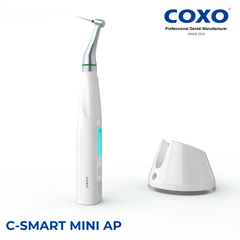 Máy nội nha COXO tích hợp ĐVC C-Smart Mini AP