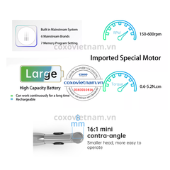 Máy nội nha tích hợp định vị chóp Coxo C-Smart I Pro (C Smart 1 Pro)
