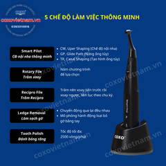 Máy nội nha COXO tích hợp định vị chóp C-Smart Mini AP+