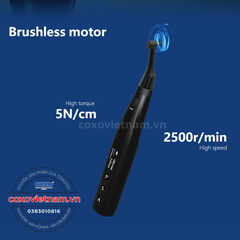 Máy nội nha COXO tích hợp định vị chóp C-Smart Mini AP+