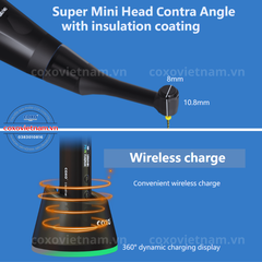 Máy nội nha COXO tích hợp định vị chóp C-Smart Mini AP+