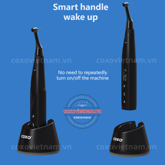 Máy nội nha COXO tích hợp định vị chóp C-Smart Mini AP+