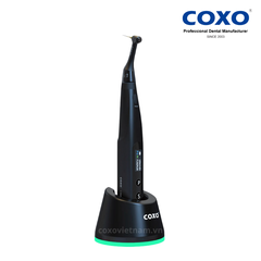 Máy nội nha COXO tích hợp định vị chóp C-Smart Mini AP+