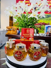 SÂM NGỌC LINH NGÂM MẬT ONG