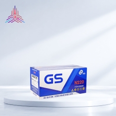 ẮC QUY GS N220