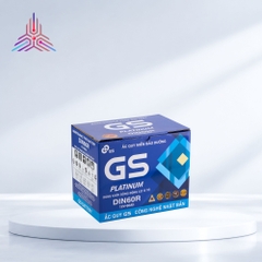 ẮC QUY GS MF DIN60R