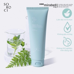Sữa rửa mặt Soroci Derma Lab Herbal Intensive Foaming Cleanser