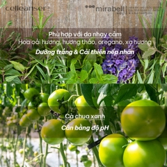 Kem dưỡng da Celleanser Vegan Clean Cream