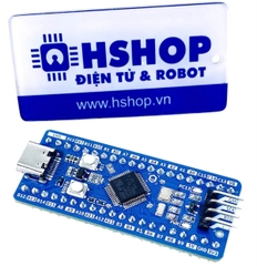 Mạch phát triển MKE-K06 STM32F103C8T6 Blue Pill Dev Kit