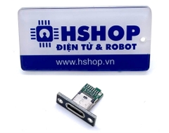 Mạch ra chân USB-C USB Type C Female With Fixing Plate Breakout Board