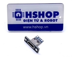 Mạch ra chân USB-C USB Type C Female With Fixing Plate Breakout Board