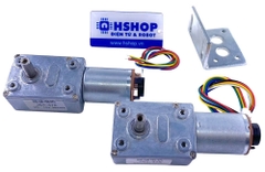 Động cơ DC Servo JGY370 High Torque Self-Lock DC Geared Motor