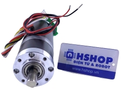 Động cơ DC Servo giảm tốc hành tinh Planetary GP36