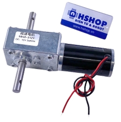 Động cơ DC giảm tốc 5840-31ZY High Torque Self-Lock DC Geared Motor