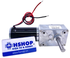 Động cơ DC giảm tốc 5840-31ZY High Torque Self-Lock DC Geared Motor