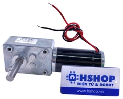 Động cơ DC giảm tốc 5840-31ZY High Torque Self-Lock DC Geared Motor