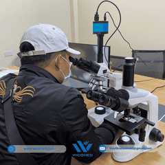 Kính Hiển Vi 3 Mắt Labex - Anh ICO-T1000PL | Cao Cấp
