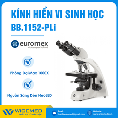 Kính Hiển Vi Sinh Học 2 Mắt 1000 Lần Euromex BB.1152-PLi