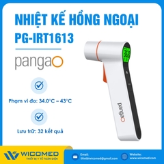 Nhiệt Kế Hồng Ngoại Pangao PG-IRT1613