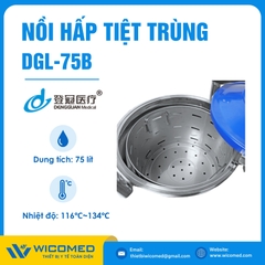 Nồi Hấp Tiệt Trùng Kiểu Đứng Dengguan DGLS-75B | 75 Lít