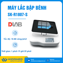 Máy Lắc Bập Bênh Dlab SK-R1807S