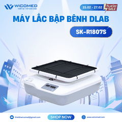 Máy Lắc Bập Bênh Dlab SK-R1807S
