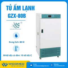 Tủ Ấm Lạnh Có Chiếu Sáng 3 Mặt 80 Lít Xingchen GZX-80B