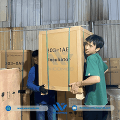 Tủ Ấm Vi Sinh 70 Lít Xingchen 303-1AB