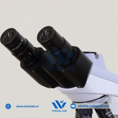 Kính Hiển Vi 3 Mắt Labex - Anh ICO-T1000PL | Cao Cấp