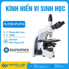 Kính Hiển Vi Soi Phản Pha Euromex IS.1159-PLPHi | 1000 lần
