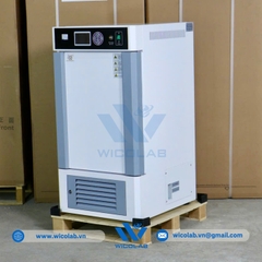 Tủ Vi Khí Hậu Xingchen Trung Quốc RGX-80BEII | 80 Lít
