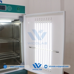 Tủ Vi Khí Hậu - Tủ Sinh Trưởng Xingchen RGX-150B | 150 Lít