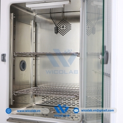 Tủ Vi Khí Hậu - Tủ Sinh Trưởng Xingchen RGX-150B | 150 Lít