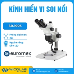 Kính Hiển Vi Soi Nổi 3 Mắt Euromex SB.3903-P | 7 Đến 45 Lần