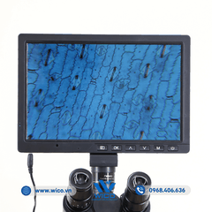Bộ Camera 16MP Tích Hợp Màn Hình 10.1 Inch CCD-1016M