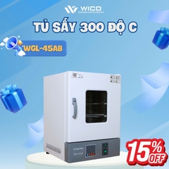 Tủ Sấy Kiểu Đứng 45 Lít WGL-45AB | Buồng Inox