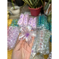Kẹp Tóc Hoa Sứ Có Nhiều Màu Sắc Rực Rỡ 8cm Thích Hợp Đi Biển