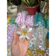 Kẹp Tóc Hoa Sứ Có Nhiều Màu Sắc Rực Rỡ 8cm Thích Hợp Đi Biển
