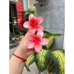 Kẹp Tóc Hoa Sứ 8cm Nhiều Màu Sắc Thích Hợp Đễ Đi Biển