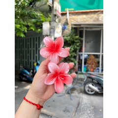 Kẹp Tóc Hoa Sứ 8cm Nhiều Màu Sắc Thích Hợp Đễ Đi Biển