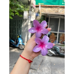 Kẹp Tóc Hoa Sứ 8cm Nhiều Màu Sắc Thích Hợp Đễ Đi Biển