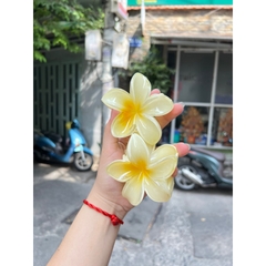 Kẹp Tóc Hoa Sứ 8cm Nhiều Màu Sắc Thích Hợp Đễ Đi Biển