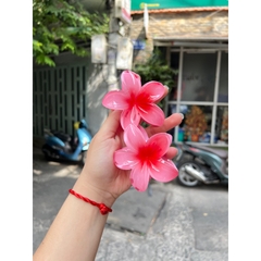 Kẹp Tóc Hoa Sứ 8cm Nhiều Màu Sắc Thích Hợp Đễ Đi Biển