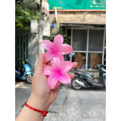 Kẹp Tóc Hoa Sứ 8cm Nhiều Màu Sắc Thích Hợp Đễ Đi Biển