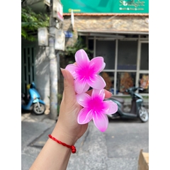Kẹp Tóc Hoa Sứ 8cm Nhiều Màu Sắc Thích Hợp Đễ Đi Biển