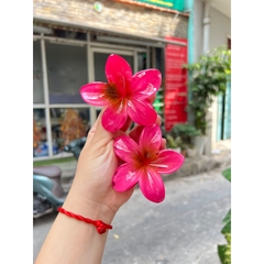 Kẹp Tóc Hoa Sứ 8cm Nhiều Màu Sắc Thích Hợp Đễ Đi Biển